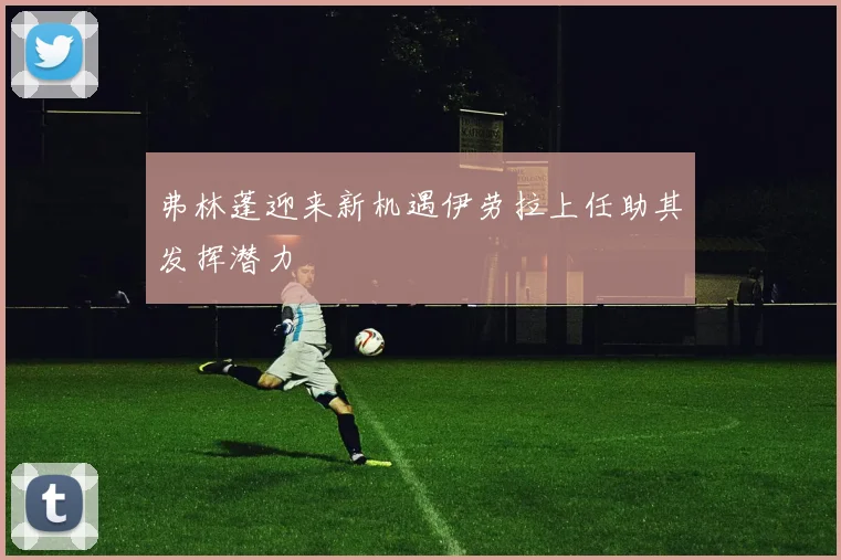 弗林蓬迎来新机遇伊劳拉上任助其发挥潜力